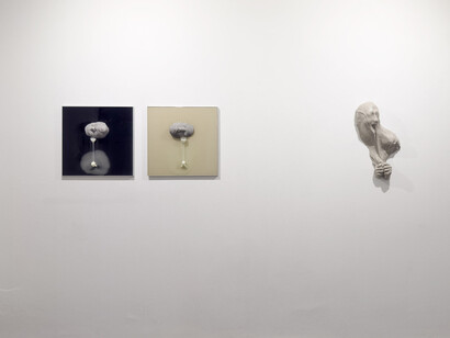 Lidó Rico, De rerum naturae, exhibition view. Courtesy of Luisa Catucci Gallery