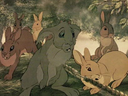 La collina dei conigli, film di animazione del 1978 diretto da Martin Rosen, tratto dal romanzo omonimo di Richard Adams