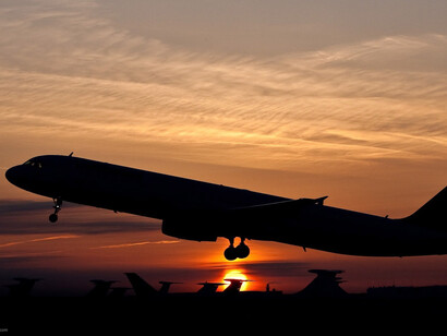 En vuelo hacia el nuevo hogar