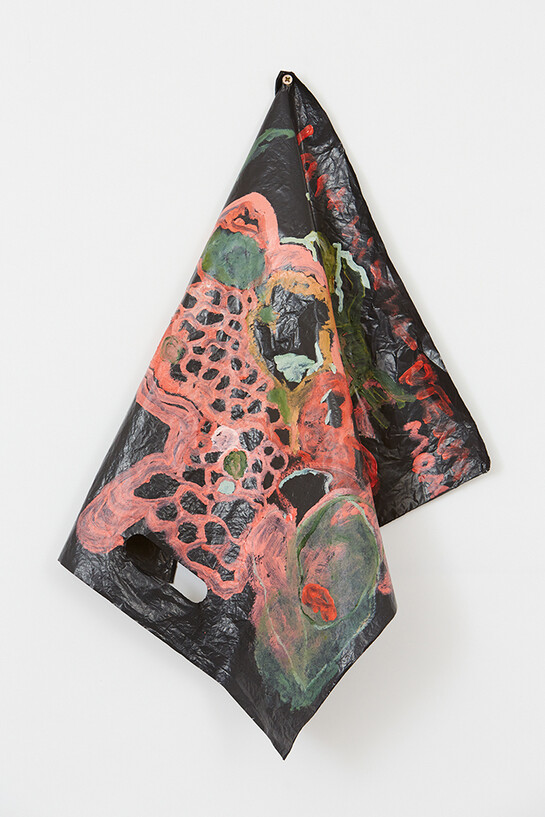 Anya Charikov-Mickleburgh, Last Night Dream