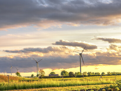Each option fits different needs (electricity, transport, heating) so the real shift is toward a diversified system