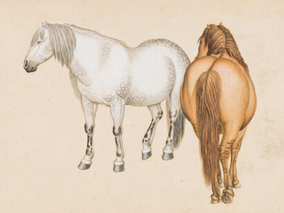 He Qingtai, Horses (detail), second half of the 18th century. Courtesy of Norton Museum of Art