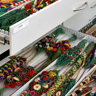 Ethnic Culture. Courtesy of Lietuvos nacionalinis muziejus