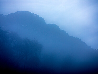 Misty forest, ph. Michael Stillwater 
