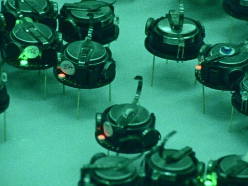 Basim Magdy. Courtesy of MAAT