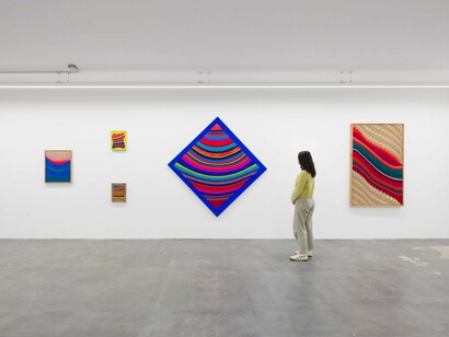 Samantha Thomas, Love in a mist, exhibition view. Courtesy of Anat Ebgi Gallery