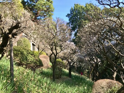 Museum garden © Alma Reyes