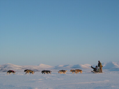 Dogsledding at Rangá