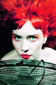Petrina