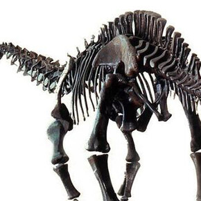 Hall of Saurischian Dinosaurs. Courtesy of American Museum of Natural History