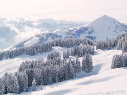 Un silenzio irreale