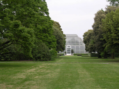 Palm House, Londra