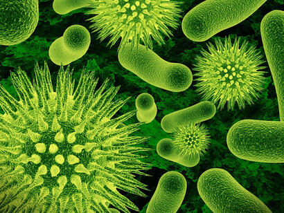 Cellular virus