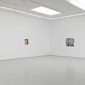 Future Amateur. Courtesy of Roberts Projects