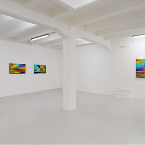 Sali Muller. Ultra contemporary landscape, installation view. Courtesy of The Flat 