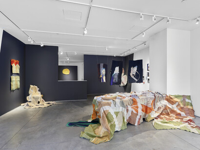 Josefina Concha E., Skin Buffet, 2023, exhibition view. Courtesy of Praxis Gallery, NYC