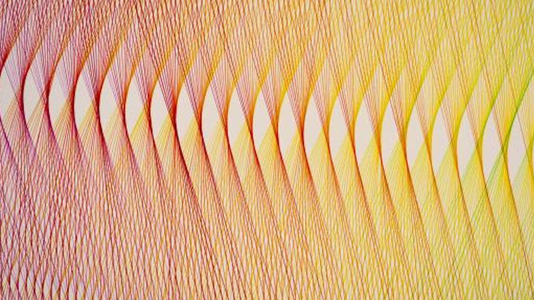 David Ellis. Animal. Courtesy of Amon Carter Museum of American Art