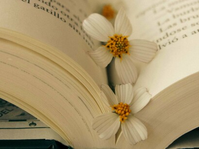 No caleidoscópio clepsídrico que é a própria Vida, Camilo Pessanha é regido pelo signo Virgem, que, segundo Carlos Oliveira, astrólogo que elaborou a carta astral de Pessanha para a revista “Simbólica”, é regido por Mercúrio e, esotericamente, pela Lua