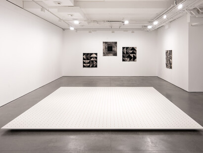 Kapwani Kiwanga, installation view. Courtesy of Goodman Gallery