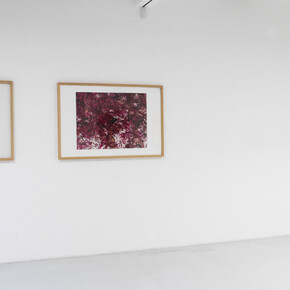 Hermann Nitsch. Courtesy of Gallery Elisabeth & Klaus Thoman
