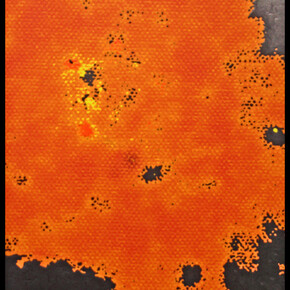 Metamemory. Courtesy of Fabian & Claude Walter Galerie