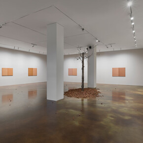 Nature rules, exhibition view. Courtesy of Kukje Gallery 