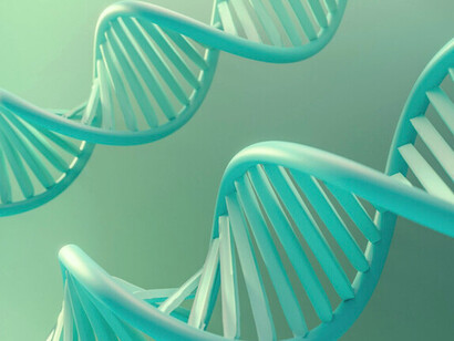 En el código de la vida no solo está escrito lo que somos, sino todo lo que podemos llegar a ser. La información que llevamos en cada célula es, al mismo tiempo, ciencia y misterio, biología y alma