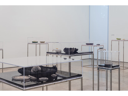 Ana Maria Tavares: Euryale Amazonica, Sicardi Gallery installation view, October 30 - December 20, 2014. Photography by Logan Sebastian Beck.