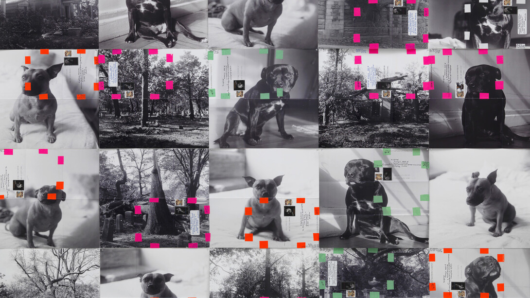 Moyra Davey, Trinity Dogs, 2015, 20 b&w digital C-prints, tape, labels, postage, ink, each: 12 x 12 inches (30.48 x 30.48 cm), overall: 48 x 60 inches (121.92 x 152.40 cm), Photo: Marcus Leith, Courtesy of greengrassi, London