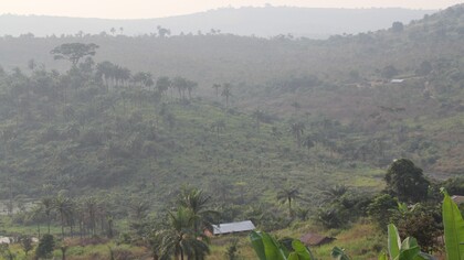 La localidad rural de Masi Manimba está situada a unos 400 kilómetros de Kinshasa. Aunque parece un lugar precioso, al igual que gran parte de la RDC, Masi Manimba es una zona rural remota y empobrecida. A pesar de contar con tierras muy fértiles, la producción agrícola de alimentos es limitada, y la desnutrición aguda constituye un grave problema de salud pública en todo el país. Provincia de Bandundu, República Democrática del Congo