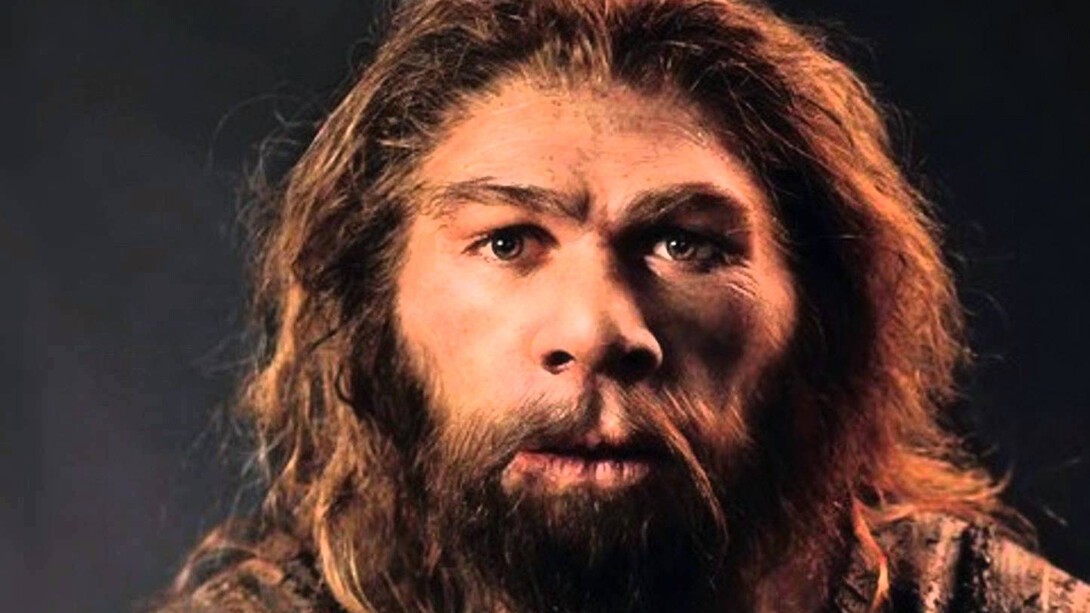 El hombre de Neandertal. Foto: S. Entressangle