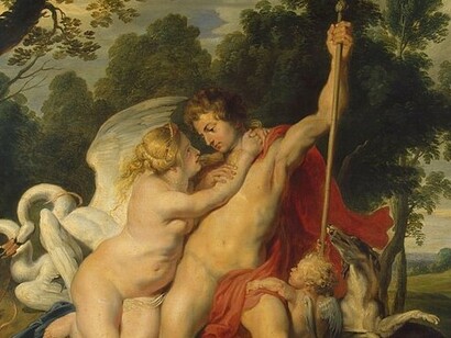 Peter Paul Rubens, Venere e Adone, dettaglio