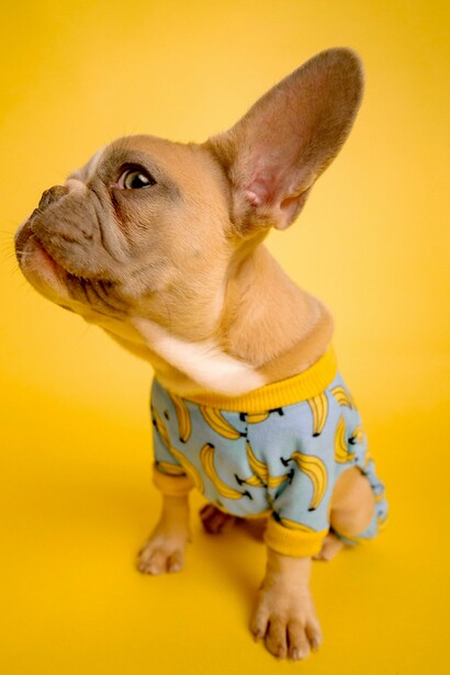 ¡No andes todo el día en pijama!