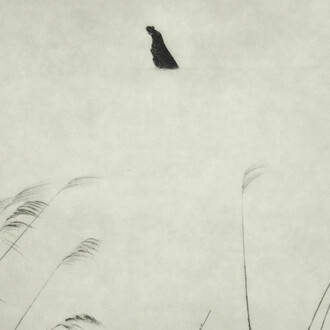 Sayuri Ichida, Phoka #030 (detail), 2025. Courtesy of the Photographers' Gallery
