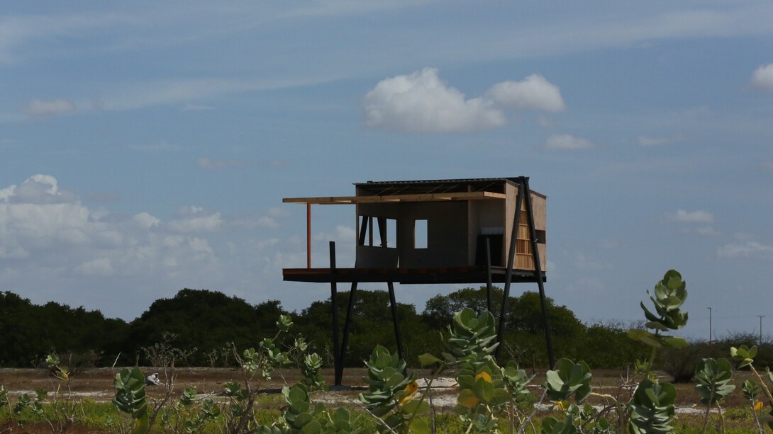“Amazonia: relatos de abundancia”, Sergio Racanati, 2026, Production image per il film essay, vincitore dell'Italian Council, edizione XIV, promosso dalla Direzione Generale Creatività Contemporanea, Ministero della Cultura, courtesy Sergio Racanati