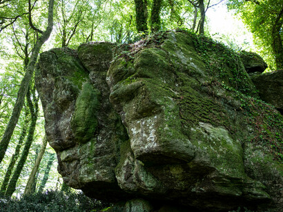 Formazione rocciosa nel bosco, Calabria
