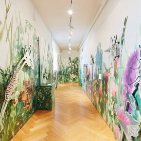 Loophole. Courtesy of Naturhistorisches Museum Basel