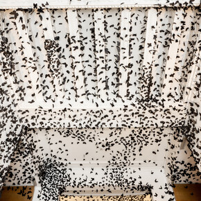 Carlos Amorales, Nube negra, vista de exhibición. Cortesía de la Fundación Casa de México en España