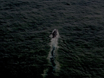 Mar do Barro ou da Barra: tomado por sedimento. Fotografia de Mario Moscatelli