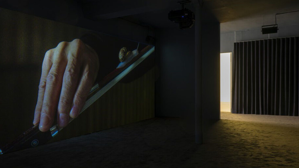 If and Only If. Courtesy of Galerie Chantal Crousel