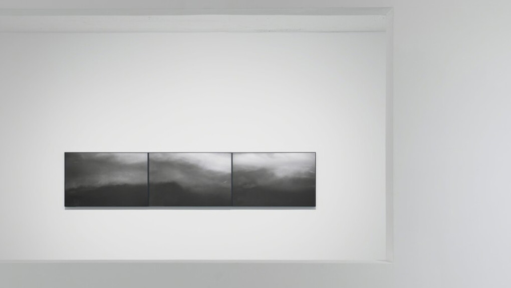 Silky Beauty. Courtesy of Amy Li Gallery