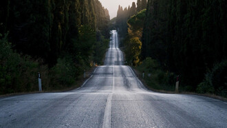 Il Viale dei Cipressi di Bolgheri