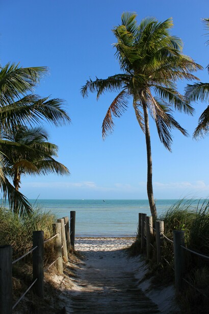 A sandy path leading through swaying palms to Smathers Beach in Key West, Florida, representing the coastal beauty that continues to define the island