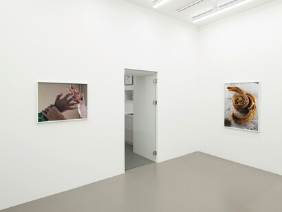 Torbjørn Rødland, Slow life strategies, exhibition view. Courtesy of Galerie Eva Presenhuber