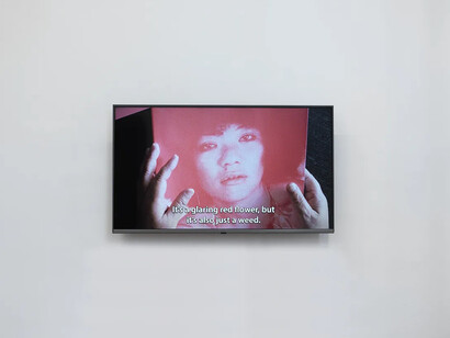 Mao Ishikawa, Rogue, exhibition view. Courtesy of Alison Bradley Projects