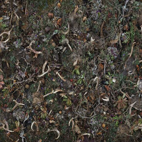 Tanya Marcuse. Courtesy of George Eastman Museum