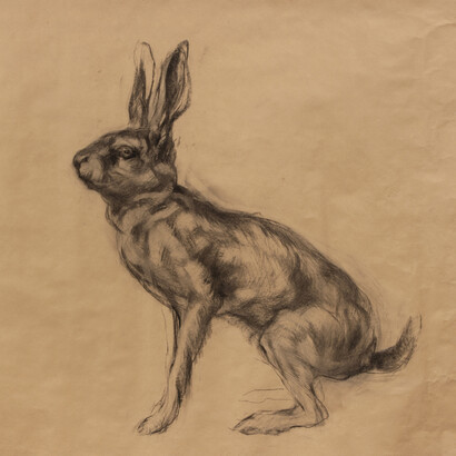 Nicola Hicks, Untitled (Hare), 2014, charcoal on paper, © Nicola Hicks, courtesy of Flowers Gallery