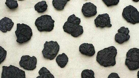 Not Vital, Cow Dung, 2013