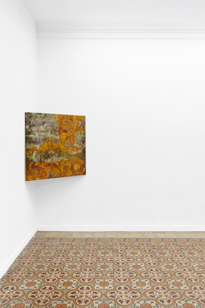 Taylah Hasaballah, Indicatrix: time leaks. Causes of extinction unknown, exhibition view. Courtesy of The Address