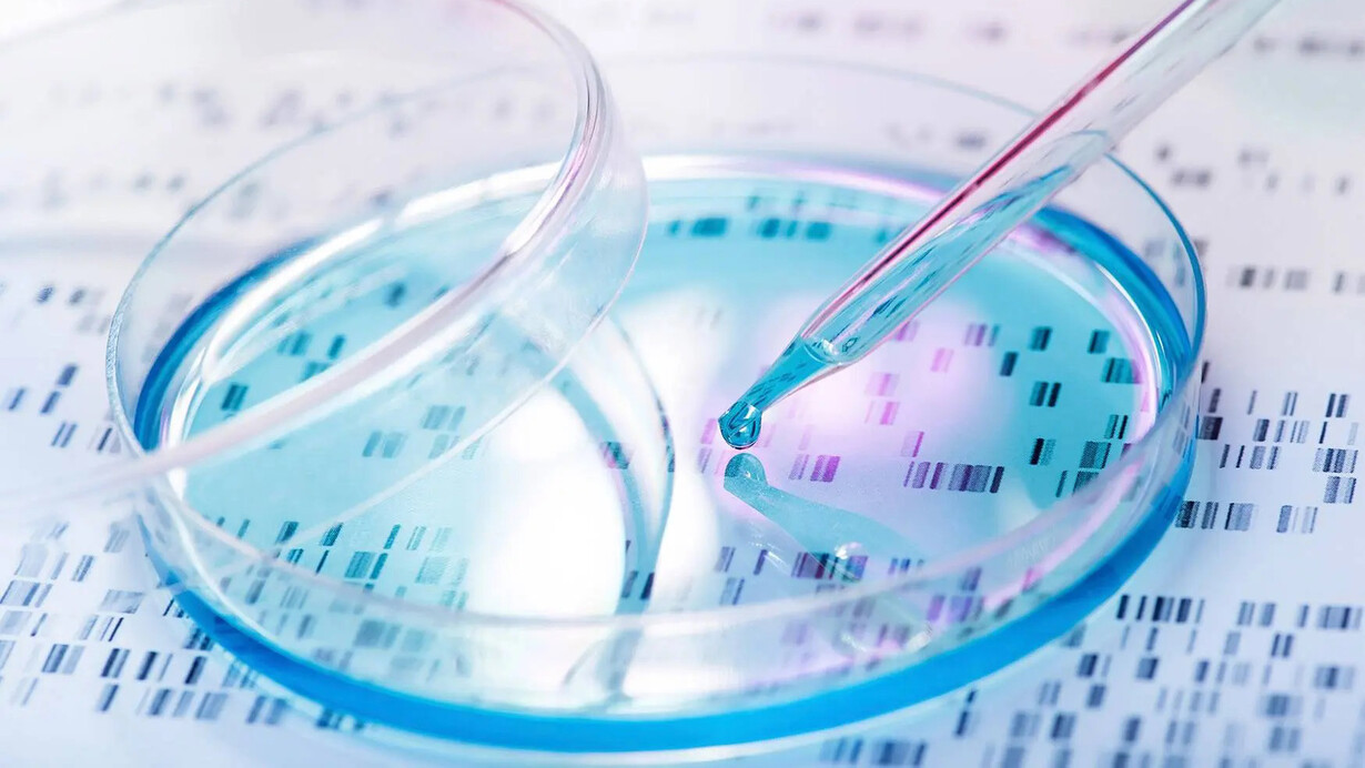 Lo importante para evitar enfermedades, o cualquier tipo de patógeno, ya sea virus o bacterias, es mantener nuestro sistema inmunológico en perfectas condiciones